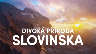 Divoká příroda Slovinska
