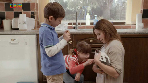 Topsy a Tim - 32/61 Nový domácí mazlíček