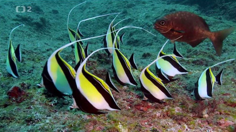 Dobrodružství vědy a techniky - Kokosový ostrov