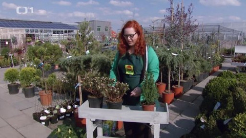 Polopatě - 18. května 2014