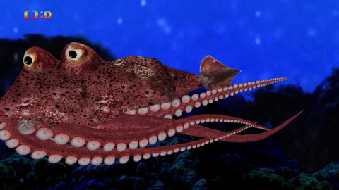 Ach, ten pokrok! - Extrémní prostředí 1.