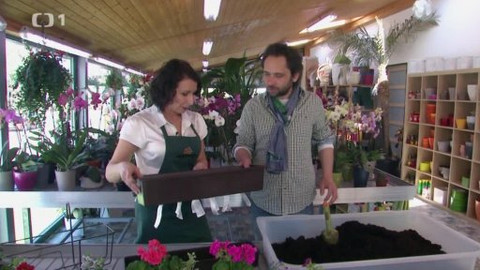 Polopatě - 11. května 2014