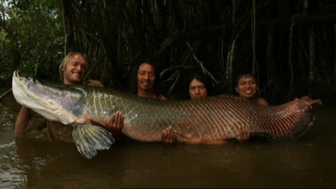 Náš zvěřinec - Rybí speciál