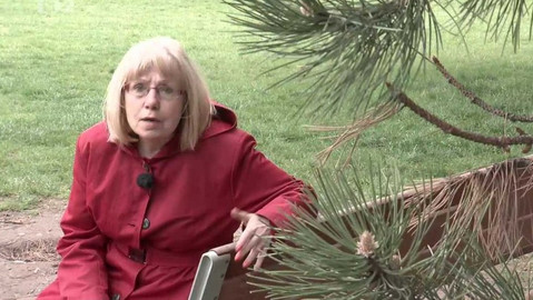 Sváteční slovo - Sváteční slovo spisovatelky Daniely Fischerové