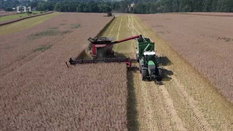 Týden v regionech (Ostrava) - 13. července 2024