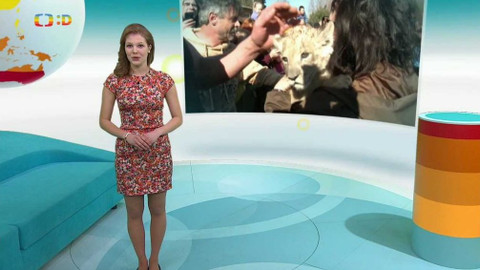 Zprávičky - 5. března 2017