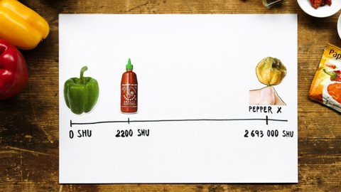 What the Fact? - Proč některá jídla pálí?