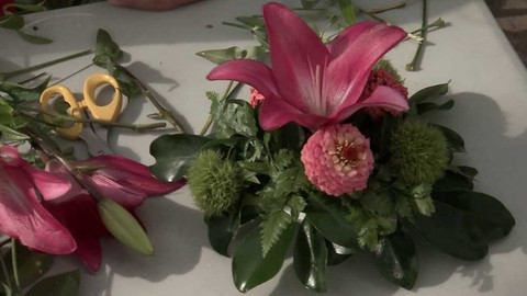 Hobby naší doby - Hobby naší doby - letní speciál