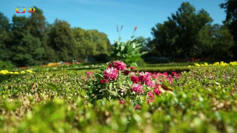 Tamtam - 3. října 2020