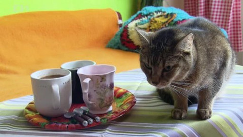 Černé ovce - 10. prosince 2012