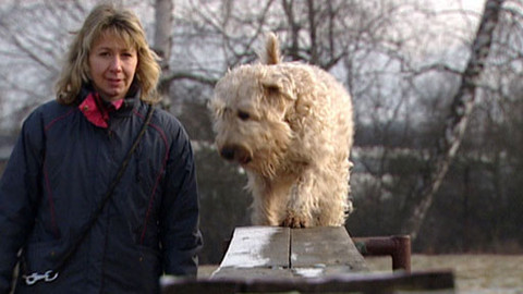 Chcete mě? - 27. března 2011