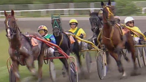 Jezdectví - Letní cena klusáků