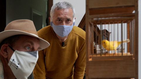 Co Čech, to chovatel - 4/8 Kanáři pana doktora