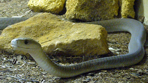 Máte mě! - 26. února 2012