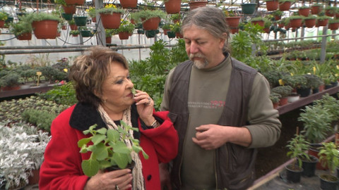 Hobby naší doby - 21. dubna 2018