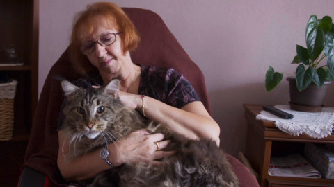 Kočka není pes - Rozmazlená Lili a bázlivý Sid