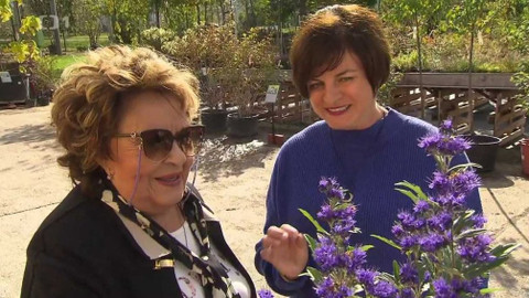 Hobby naší doby - 5. prosince 2020