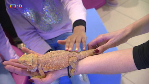 Zprávičky - 29. ledna 2021