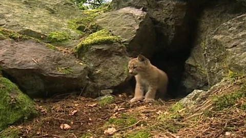 Madla a Ťap - 1/13 Jak byl sám