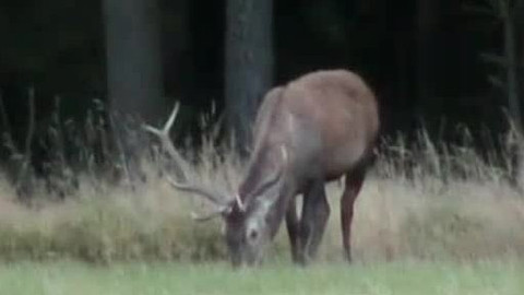 Tisíc let české myslivosti - 30. května 2008