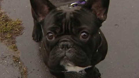 Game Page - 6. prosince 2008