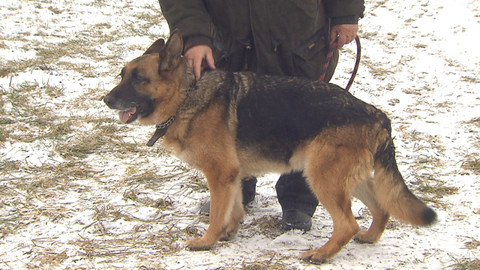 Chcete mě? - Chcete je?