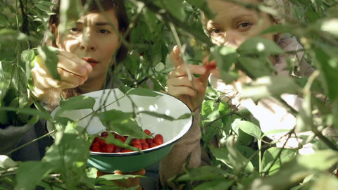 Herbář - Podzimní