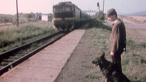 Příběhy 20. století - 15/16 Emigranti