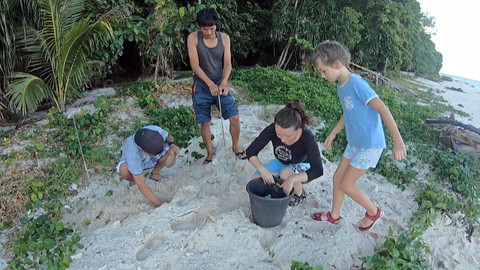 Nedej se! - Šance pro mořské želvy