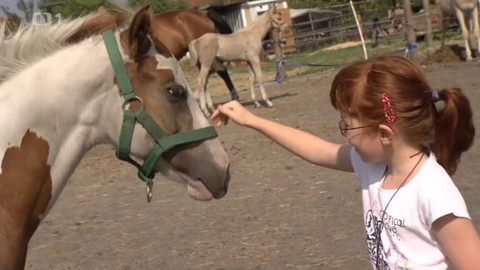 Černé ovce - 29. září 2015