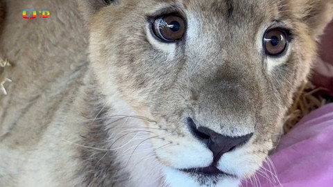 Zprávičky - 8. července 2024