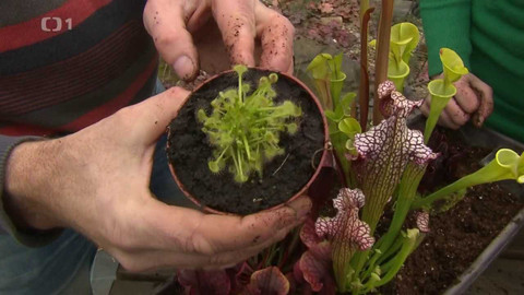 Hobby naší doby - 12. února 2022