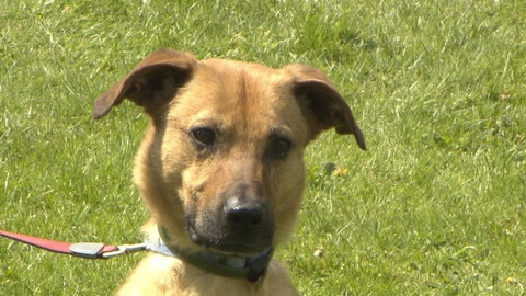 Chcete mě? - Chcete je?