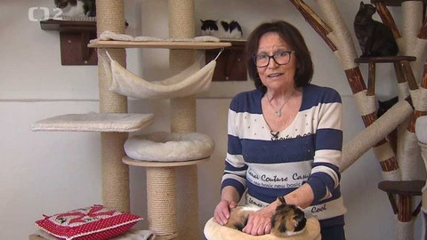 Chcete mě? - Chcete je?