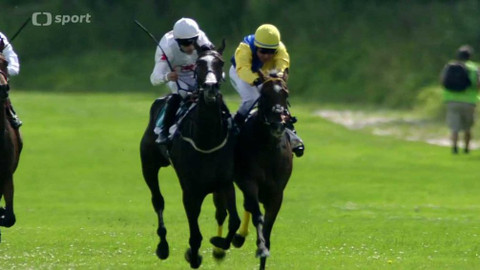 Turf - 26. července 2017