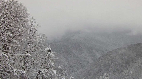 Světový pohár v alpském lyžování - Rusko