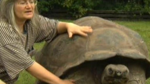 Chcete mě? - 10. září 2010