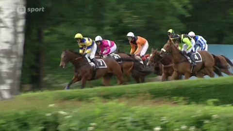 Turf - 15. června 2016