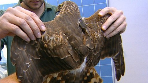 Chcete mě? - 24. září 2008