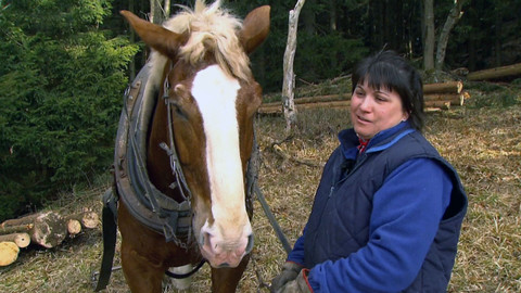 Náš venkov - Člověk, kůň a les