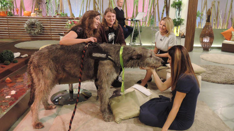 Sama doma - 2. listopadu 2016