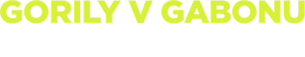 Gorily v Gabonu: Kamaya a jeho rodina