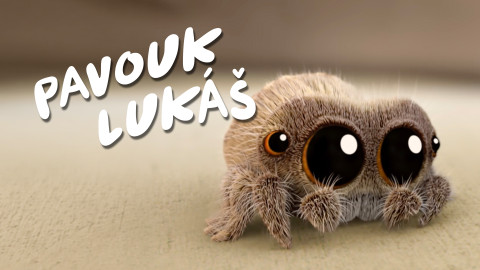 Pavouk Lukáš
