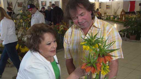 Hobby naší doby - 23. května 2015