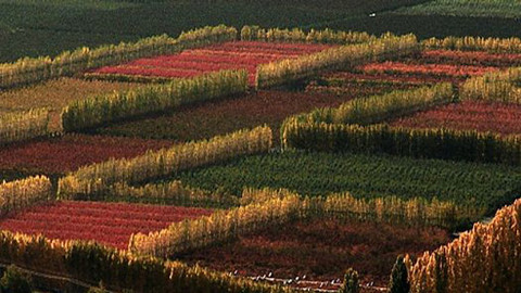 Putování za vínem - 10/16 Nový Zéland II.