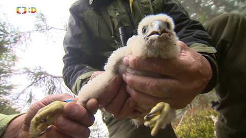 Zprávičky - 10. dubna 2021