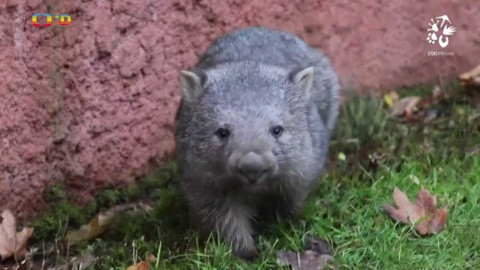 Zprávičky - 15. prosince 2021