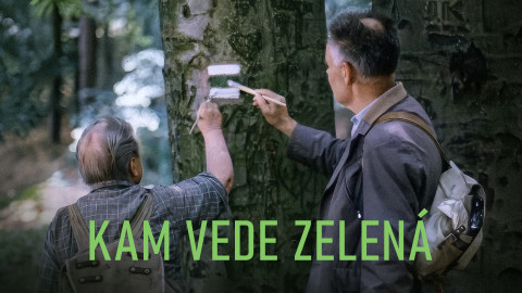 Kam vede zelená