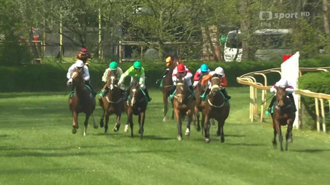Dostihy - Prvomájová steeplechase