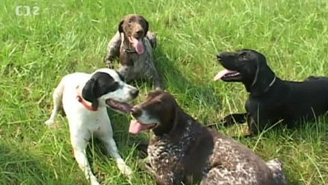 Tisíc let české myslivosti - 2. listopadu 2013